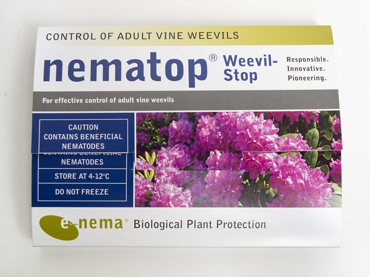 Nematop Adult Vine Weevil Nematode Trap